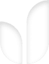 grafismo 3